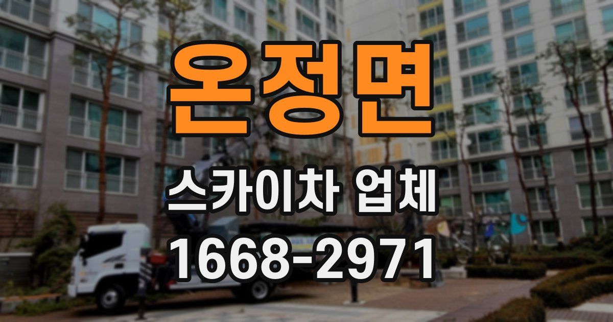 온정면 스카이차 업체