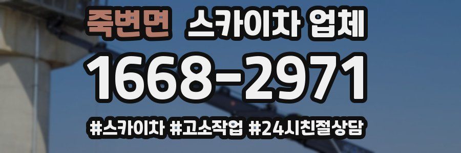 죽변면 스카이차 업체