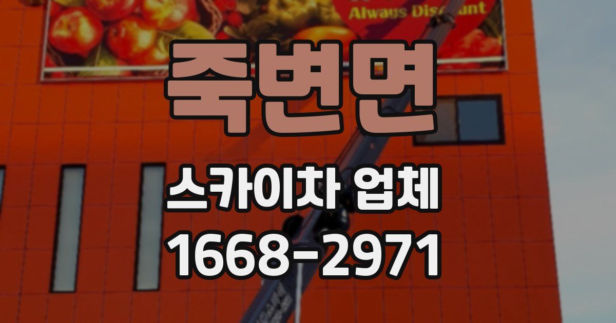 죽변면 스카이차 업체