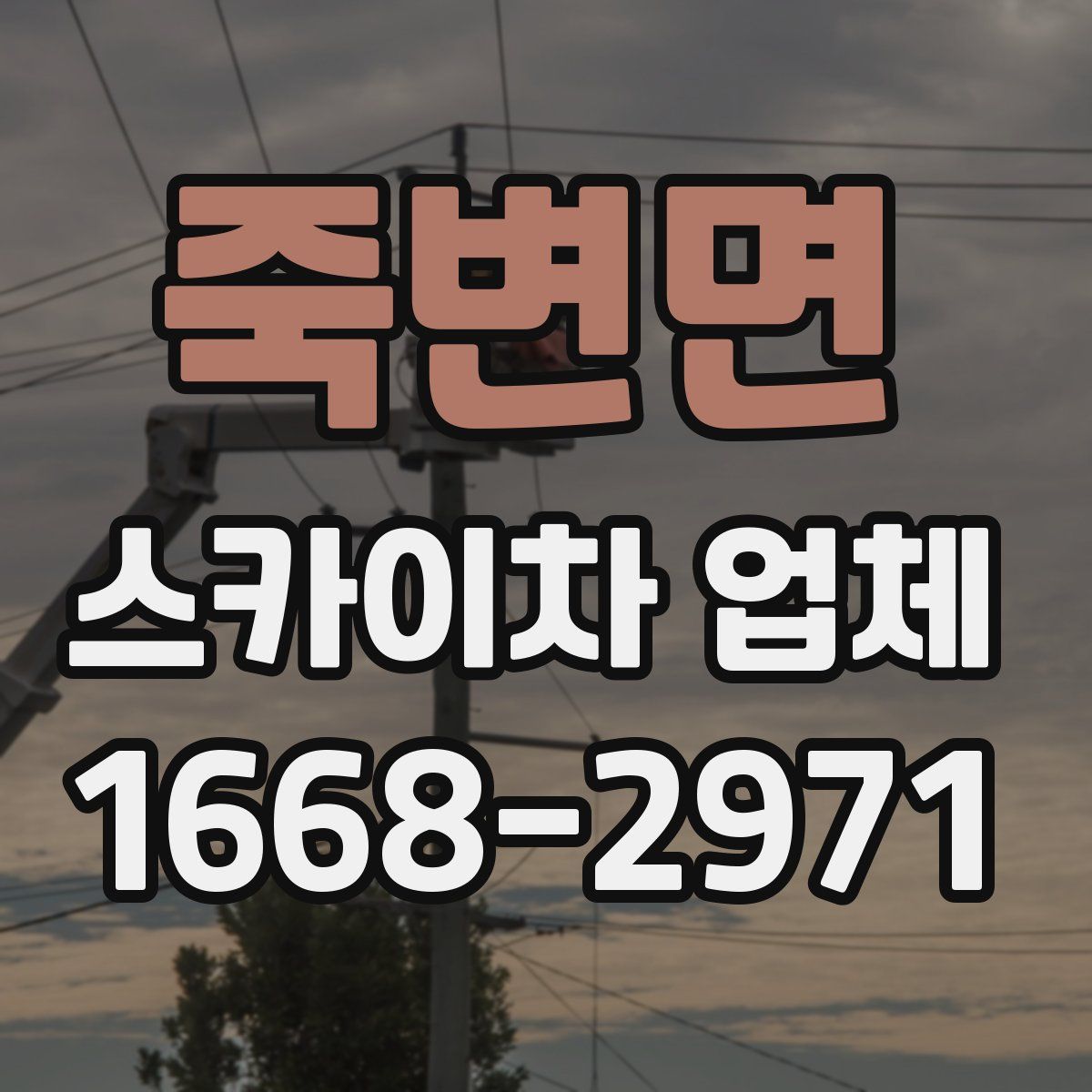 죽변면 스카이차 업체