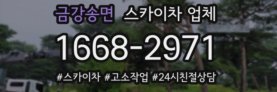 금강송면 스카이차 업체