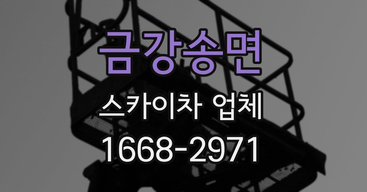 금강송면 스카이차 업체