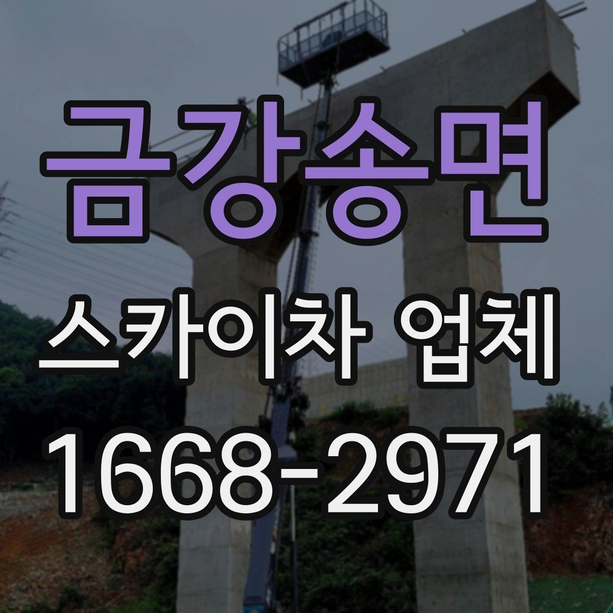 금강송면 스카이차 업체