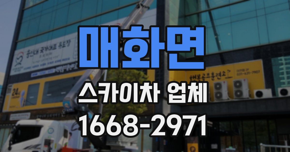 매화면 스카이차 업체
