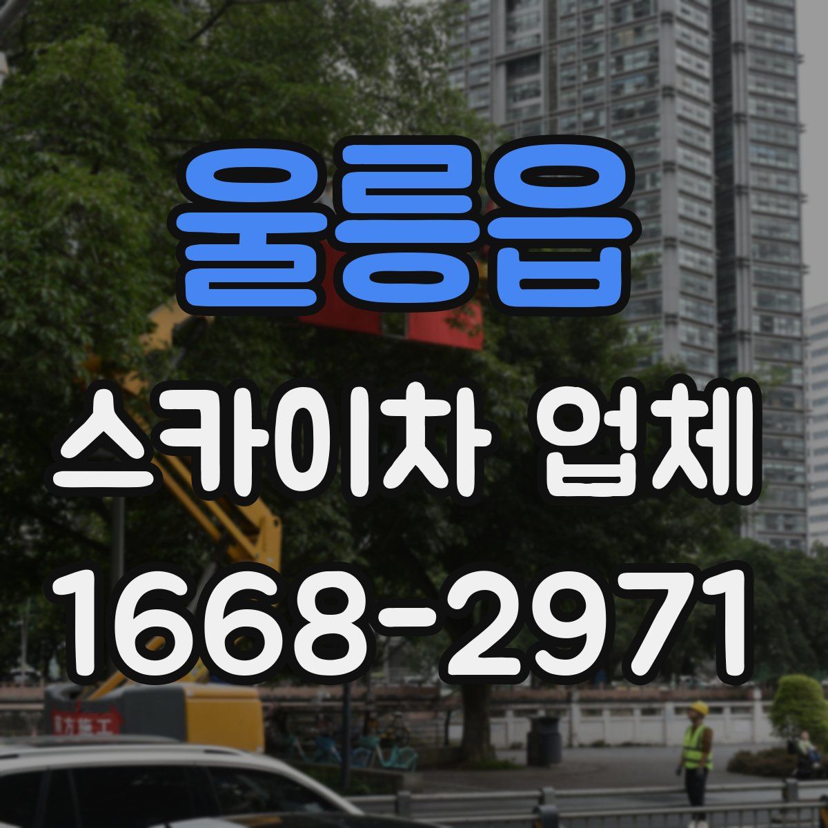 울릉읍 스카이차 업체