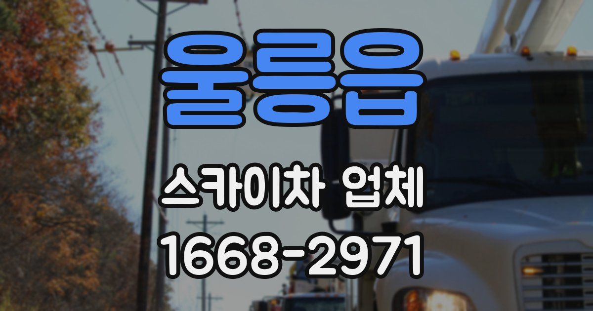 울릉읍 스카이차 업체