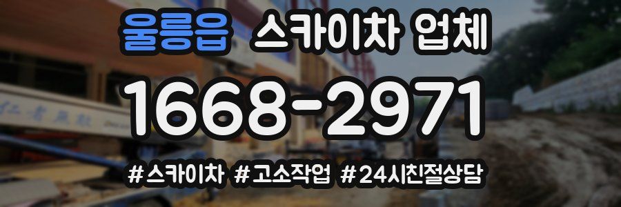 울릉읍 스카이차 업체