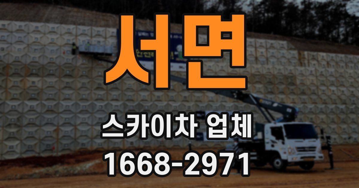 서면 스카이차 업체