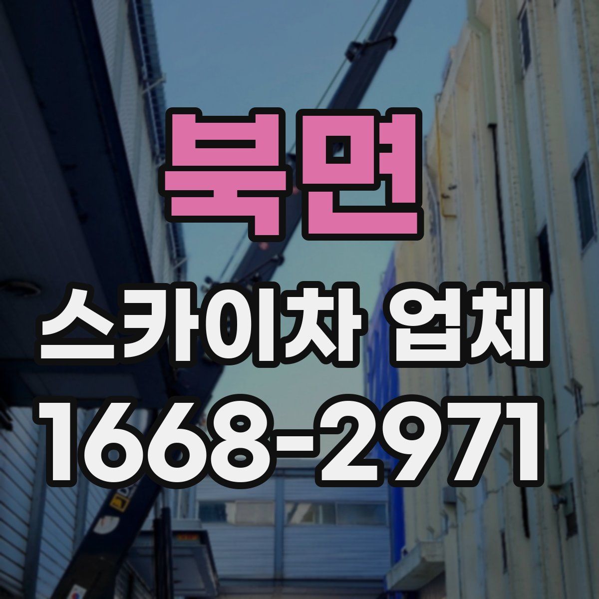 북면 스카이차 업체