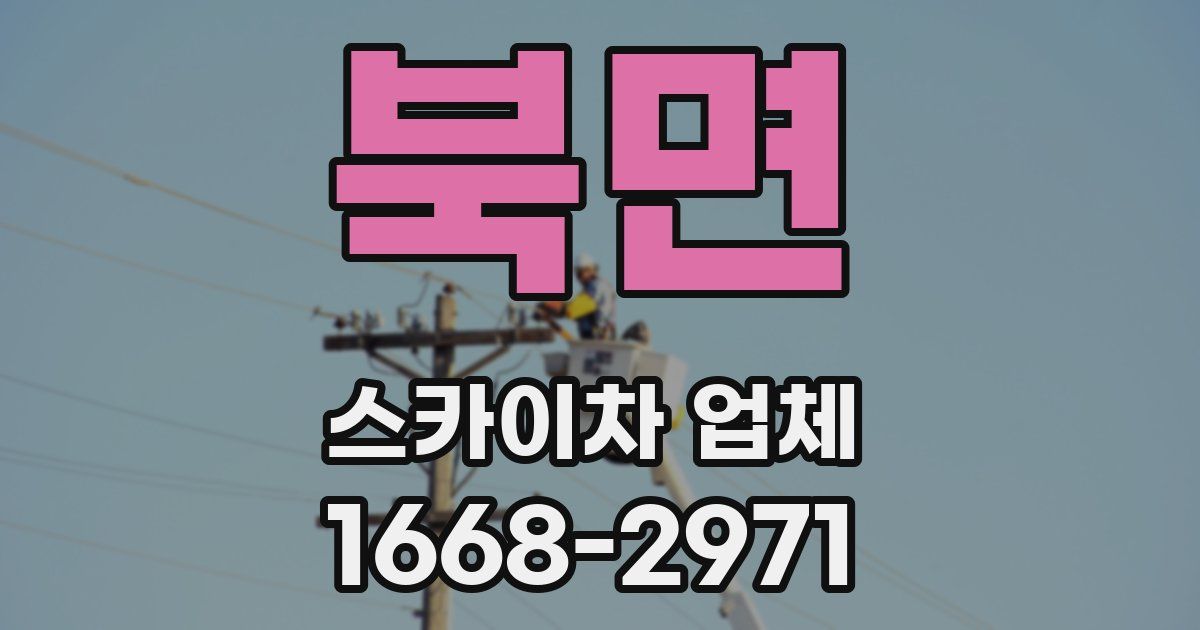 북면 스카이차 업체