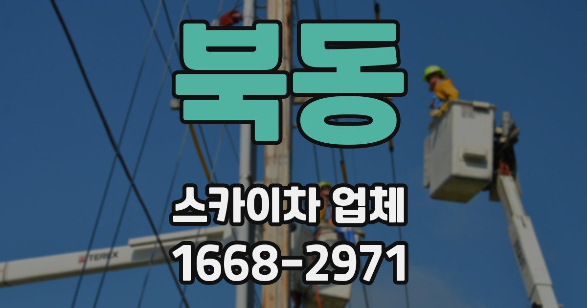북동 스카이차 업체