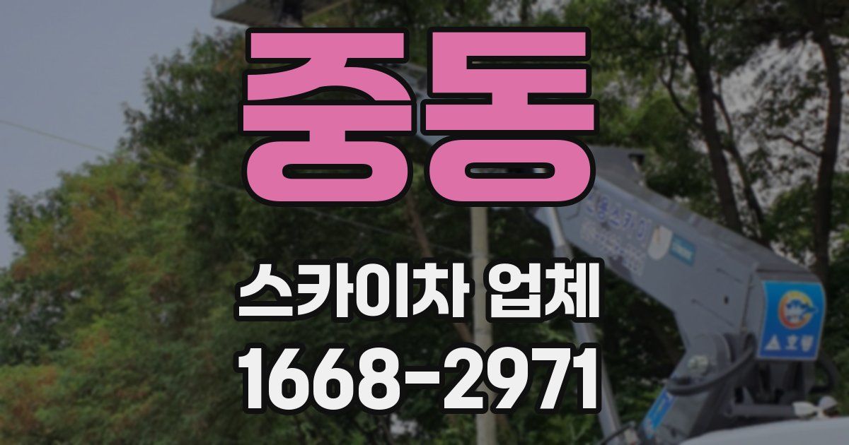 중동 스카이차 업체