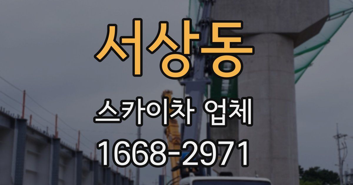 서상동 스카이차 업체