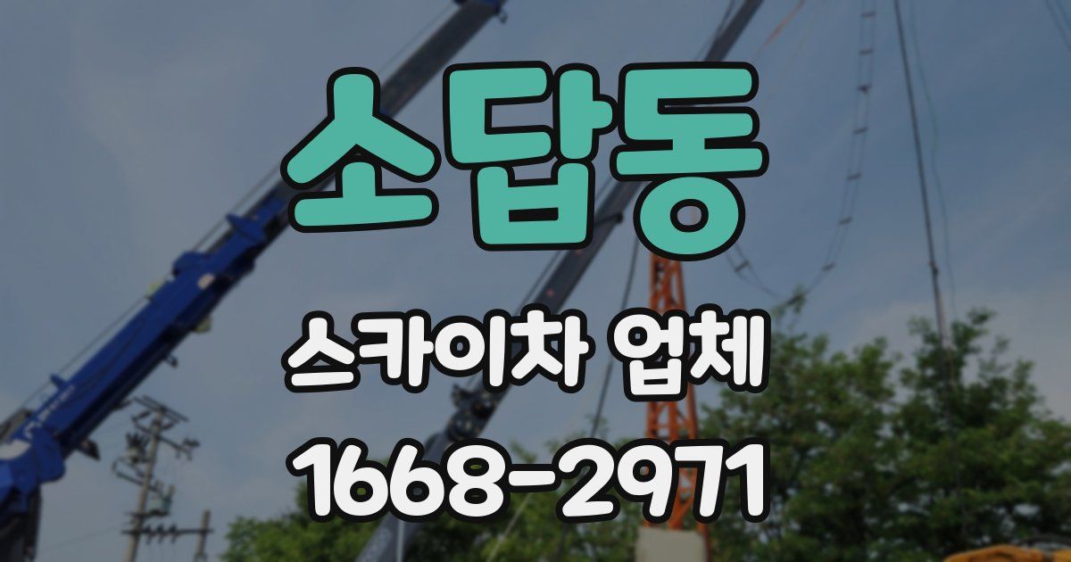 소답동 스카이차 업체