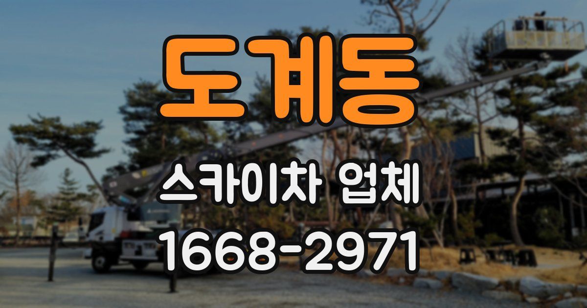 도계동 스카이차 업체
