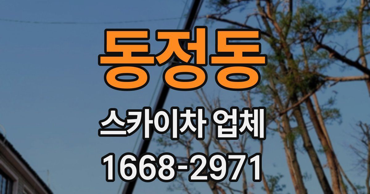 동정동 스카이차 업체