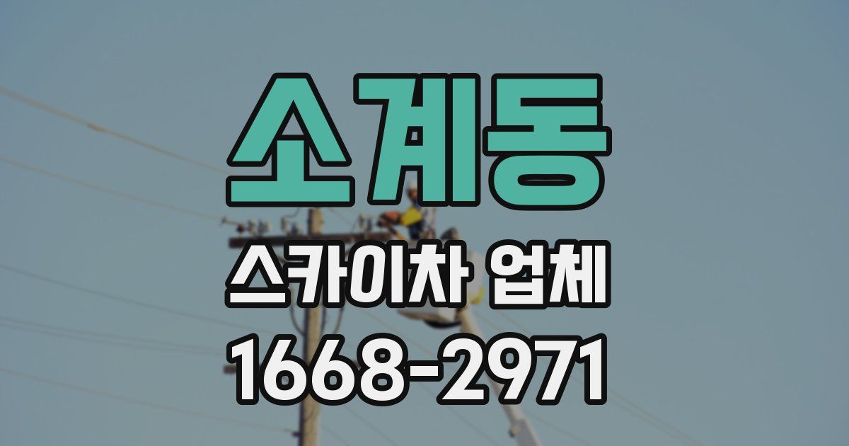 소계동 스카이차 업체
