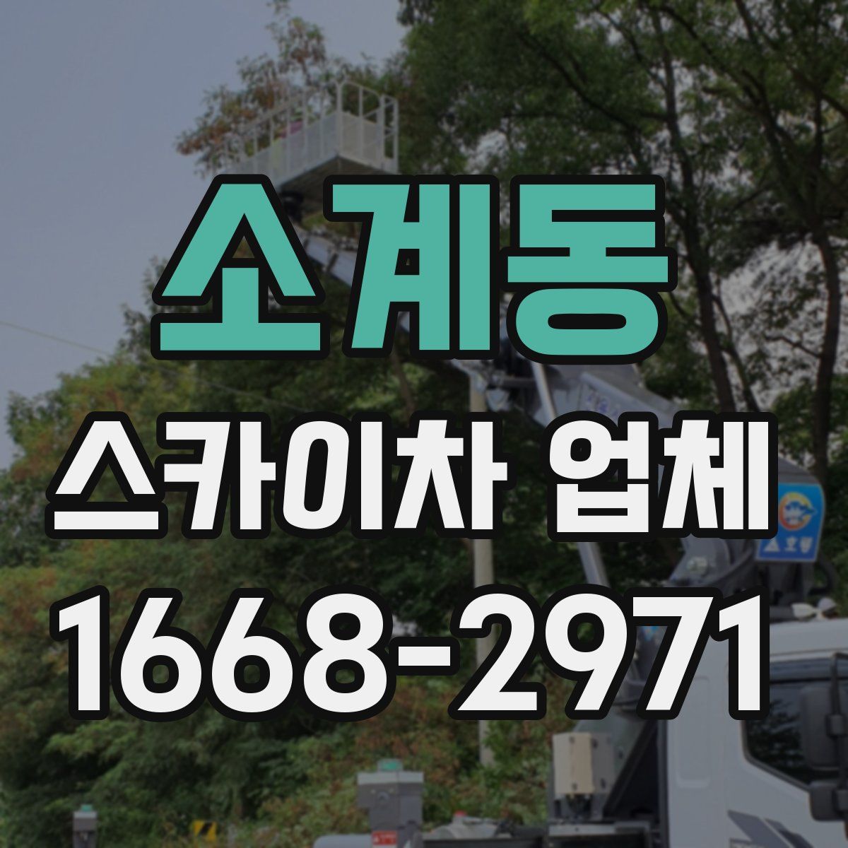 소계동 스카이차 업체