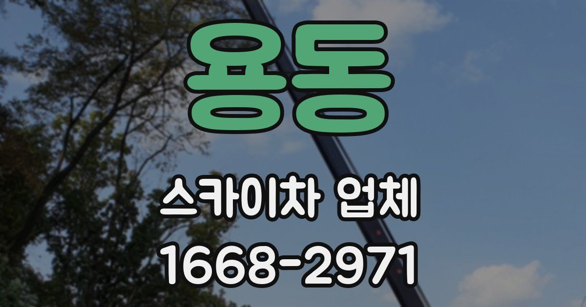 용동 스카이차 업체