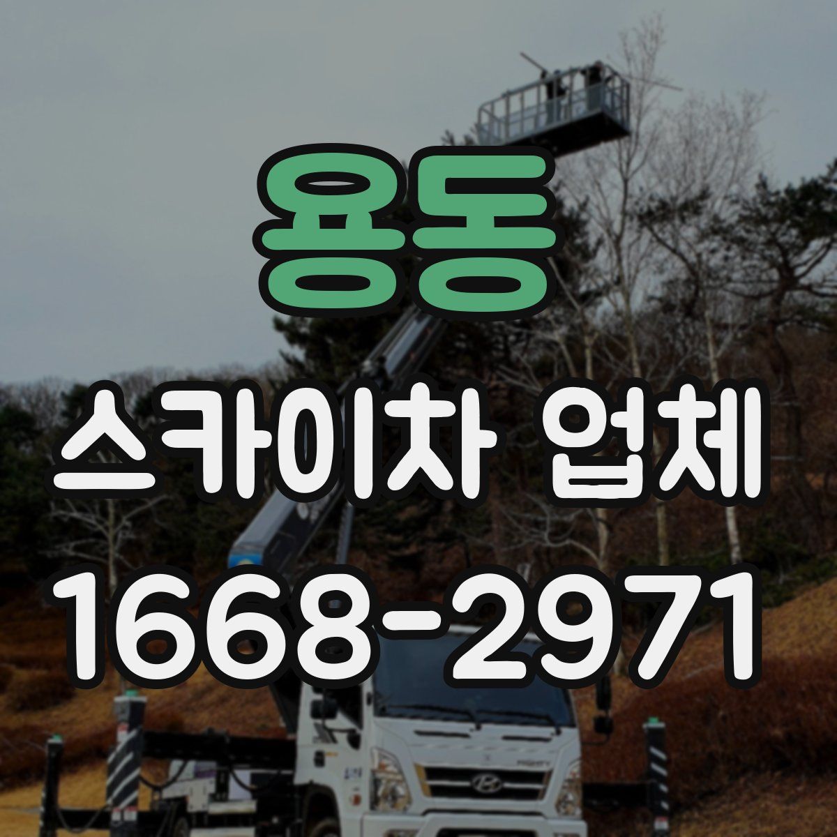용동 스카이차 업체