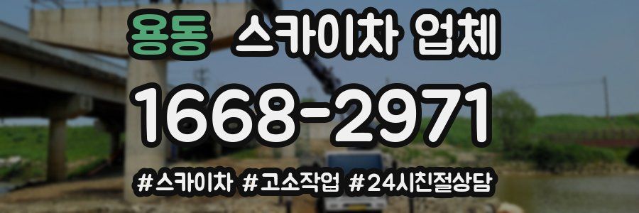 용동 스카이차 업체