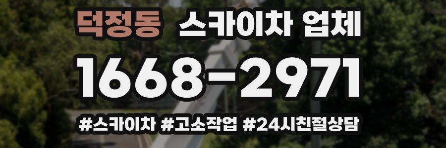 덕정동 스카이차 업체