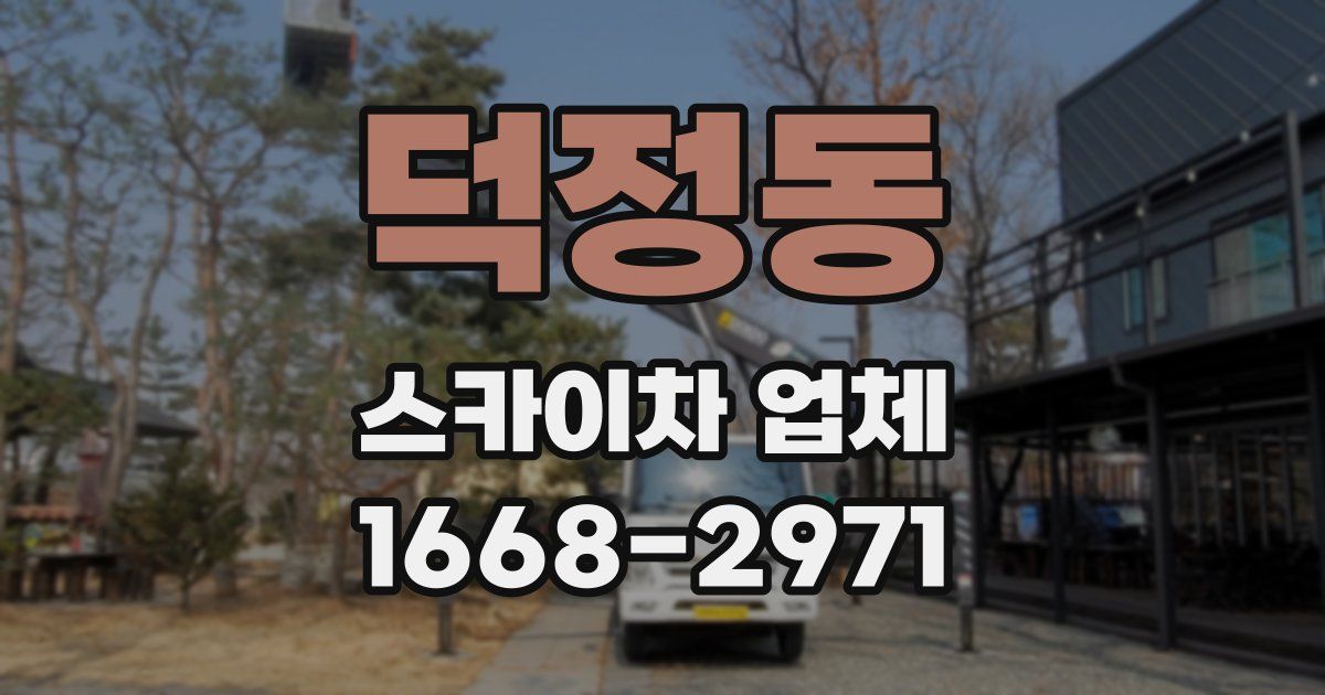 덕정동 스카이차 업체