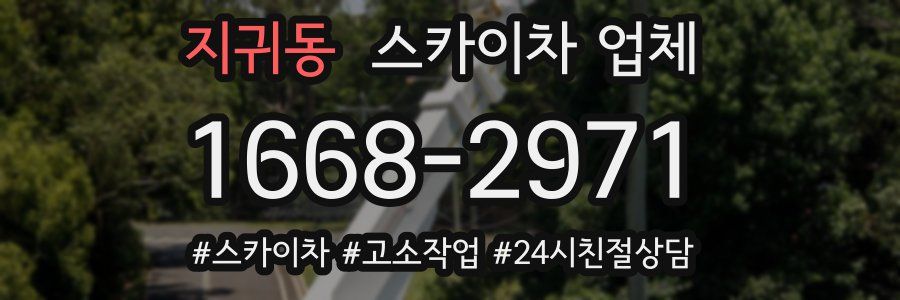 지귀동 스카이차 업체