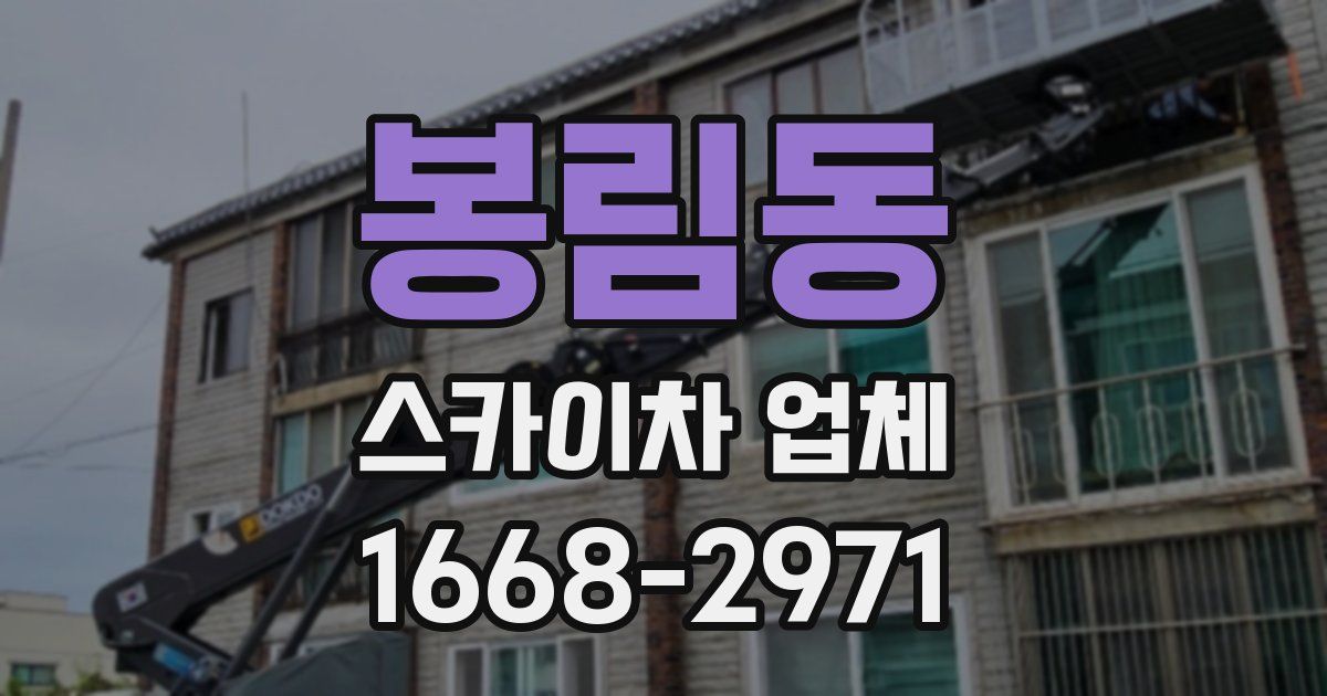 봉림동 스카이차 업체
