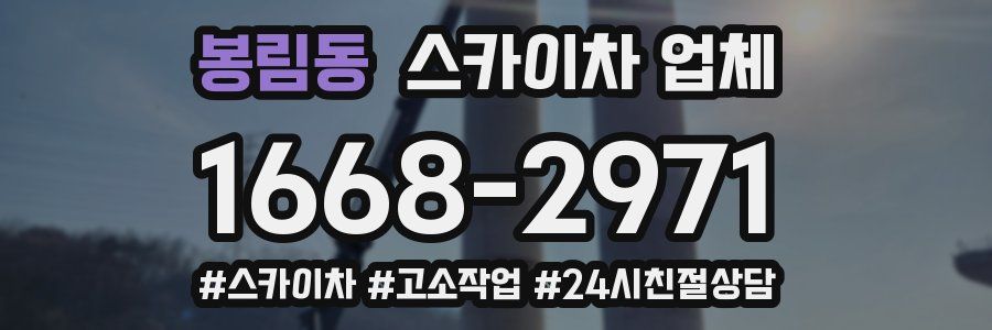 봉림동 스카이차 업체