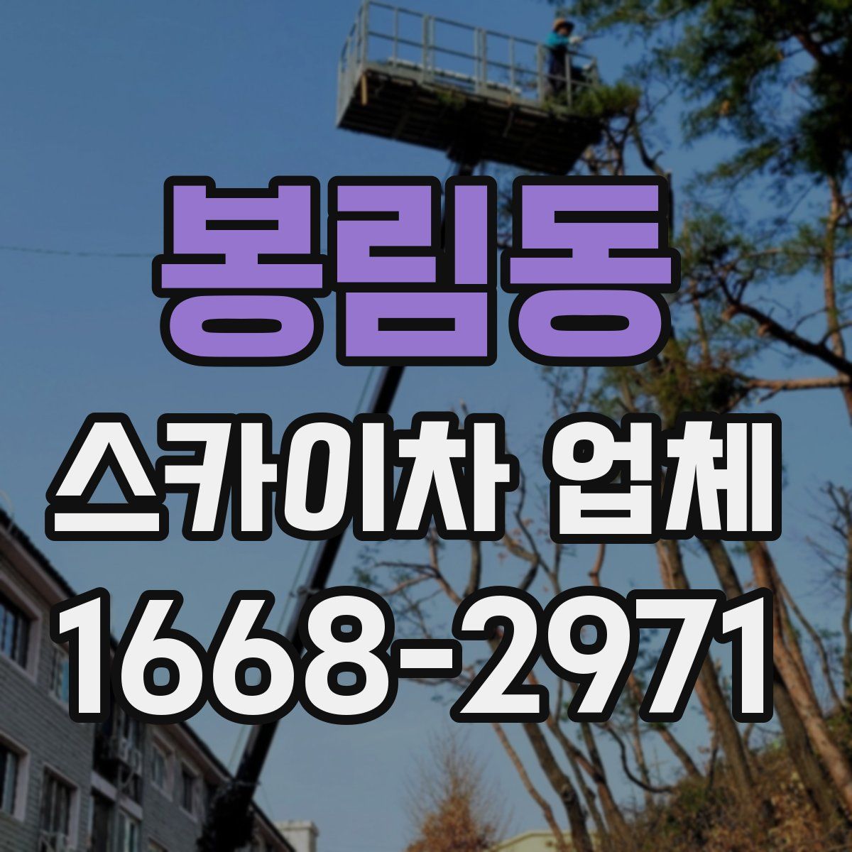 봉림동 스카이차 업체