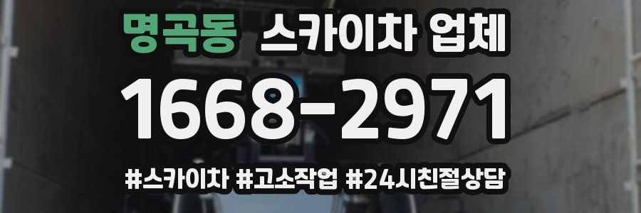 명곡동 스카이차 업체