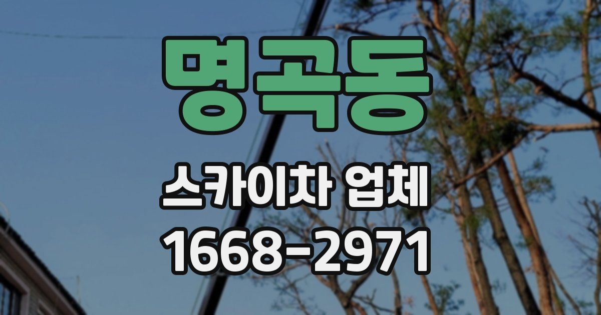 명곡동 스카이차 업체