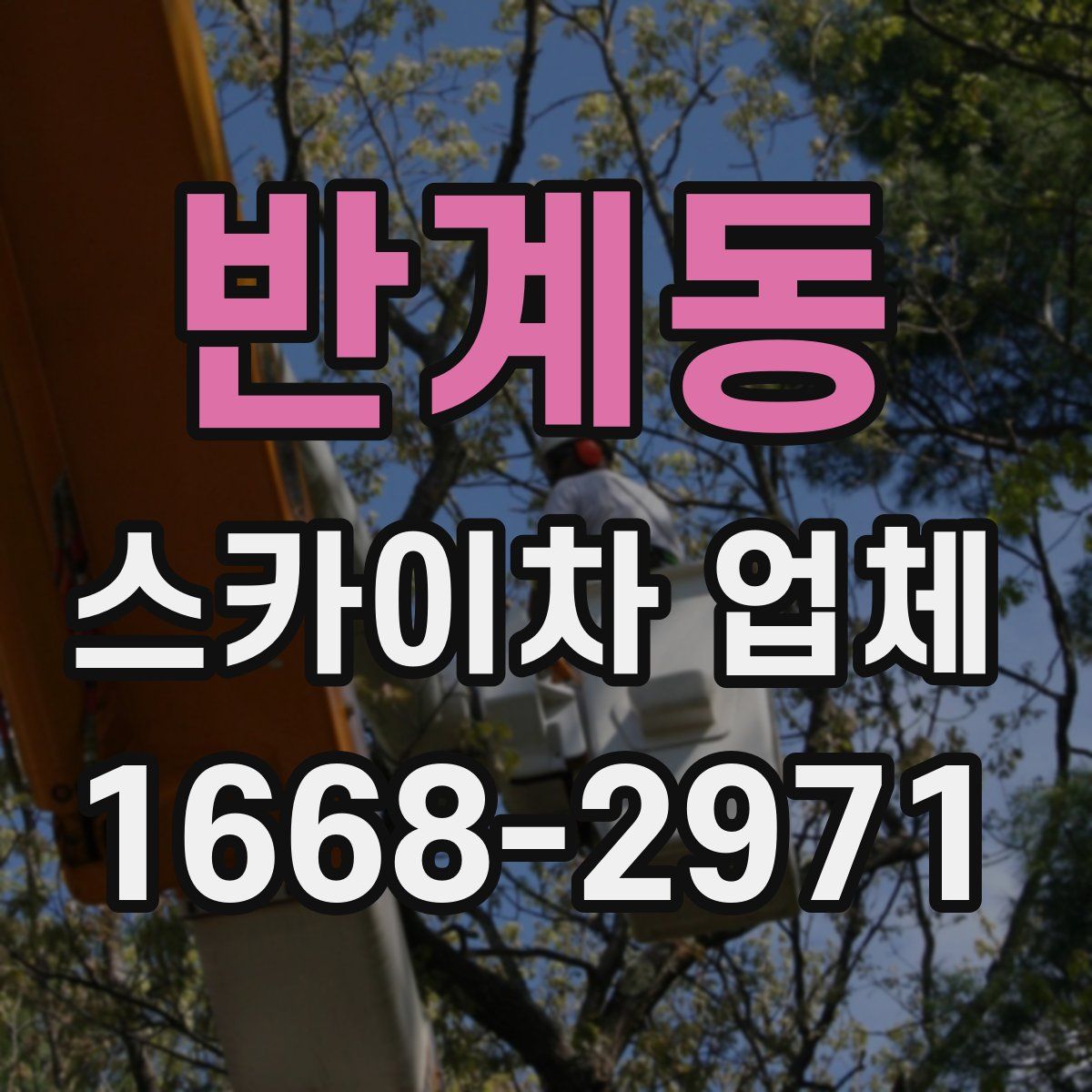 반계동 스카이차 업체