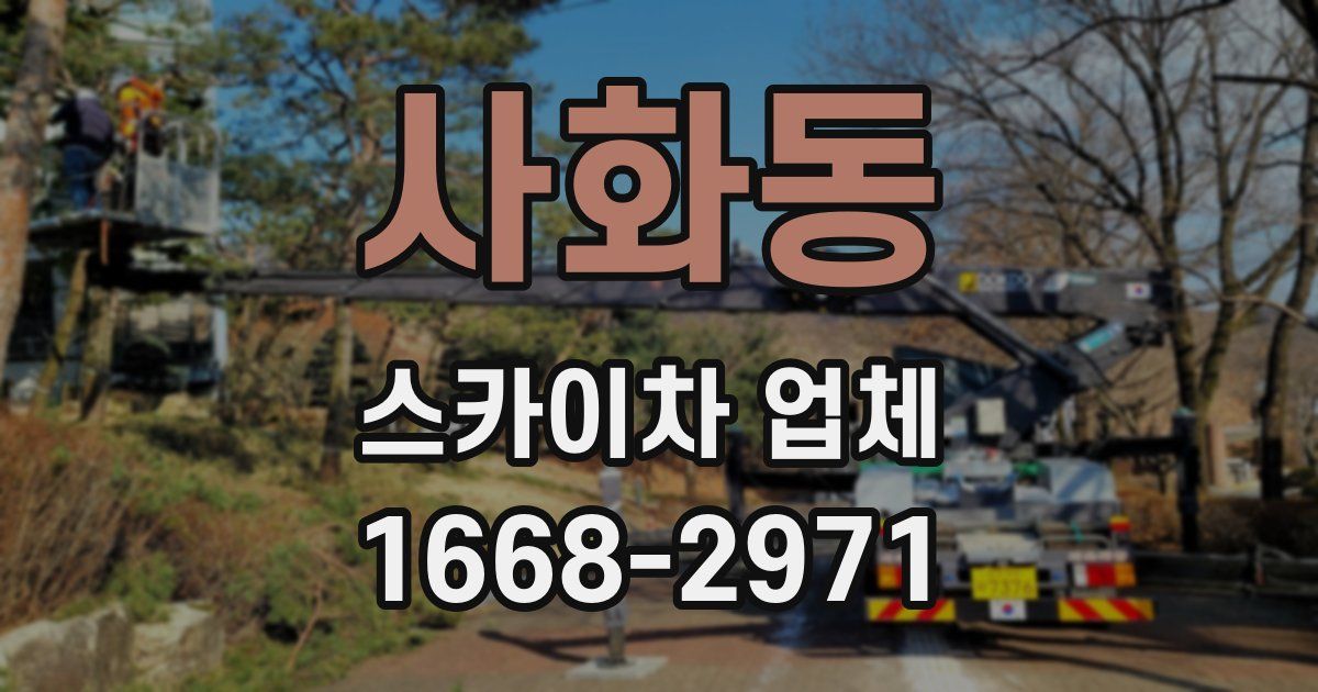 사화동 스카이차 업체