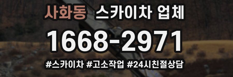 사화동 스카이차 업체