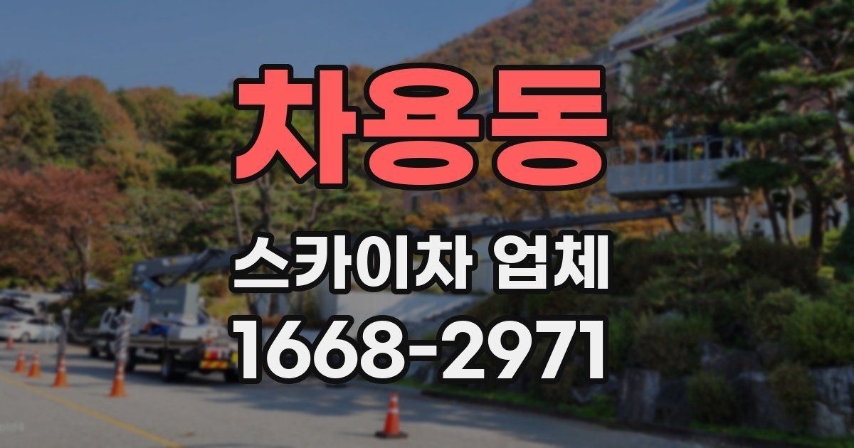 차용동 스카이차 업체