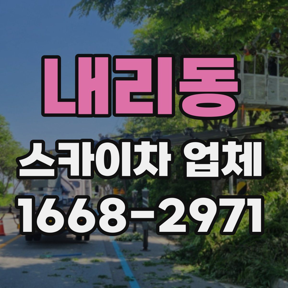 내리동 스카이차 업체