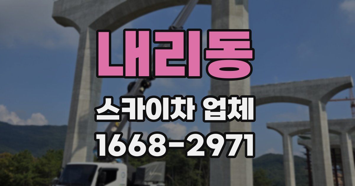 내리동 스카이차 업체