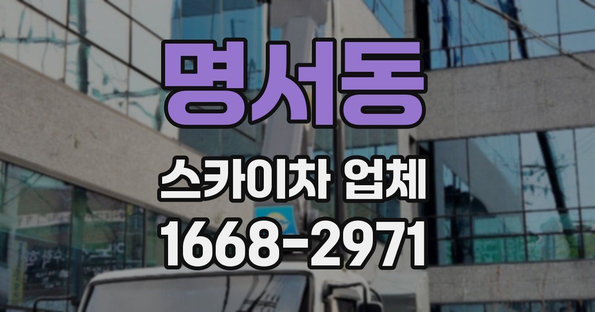 명서동 스카이차 업체
