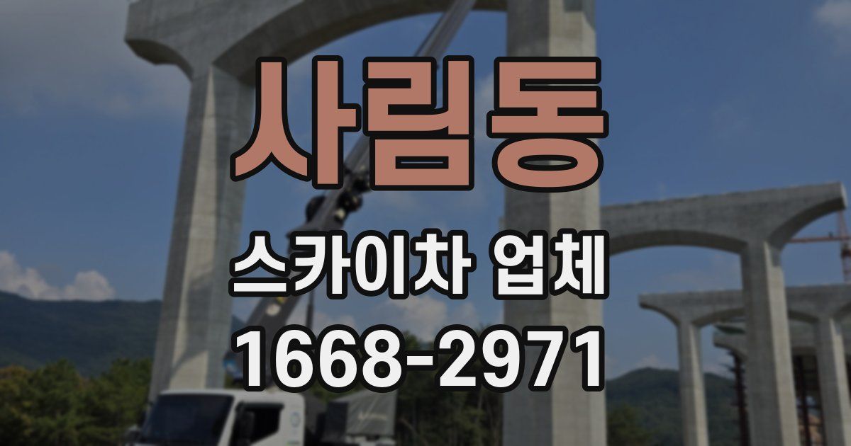 사림동 스카이차 업체