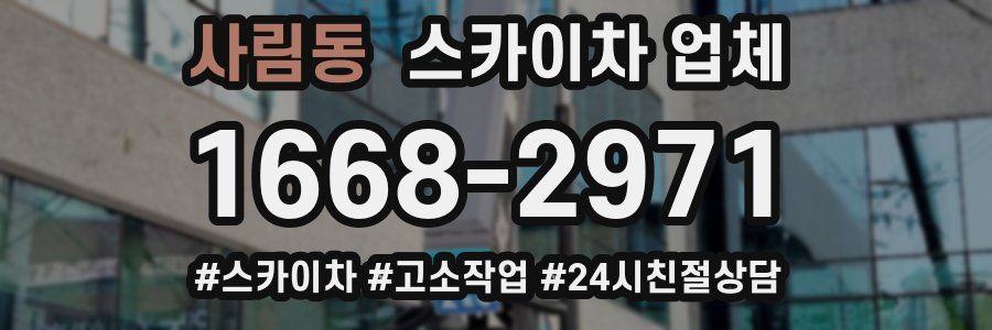 사림동 스카이차 업체