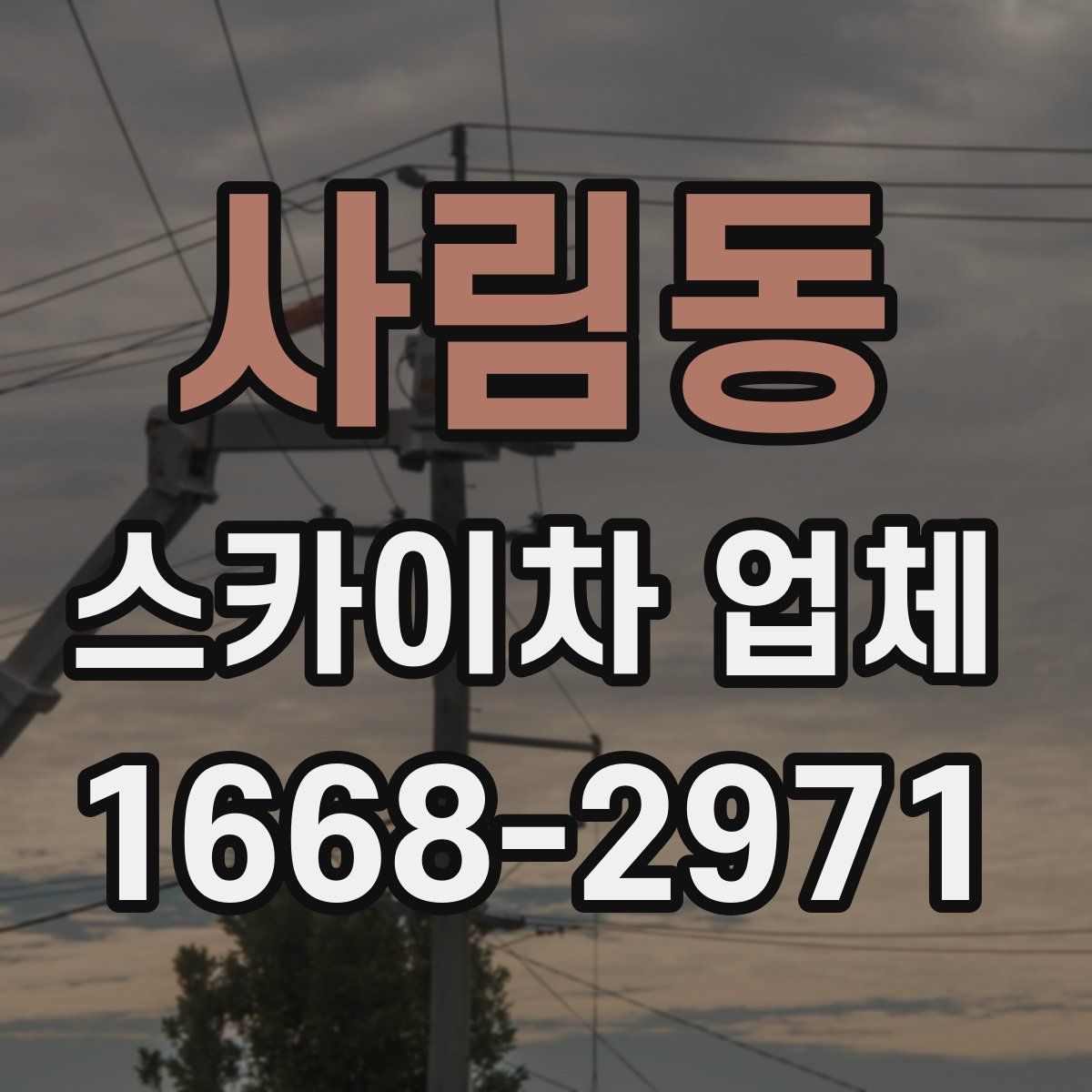 사림동 스카이차 업체