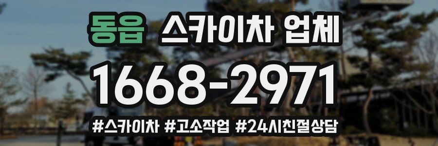 동읍 스카이차 업체