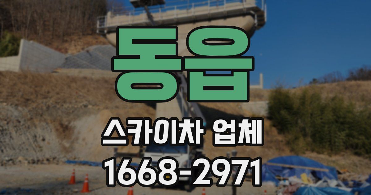동읍 스카이차 업체