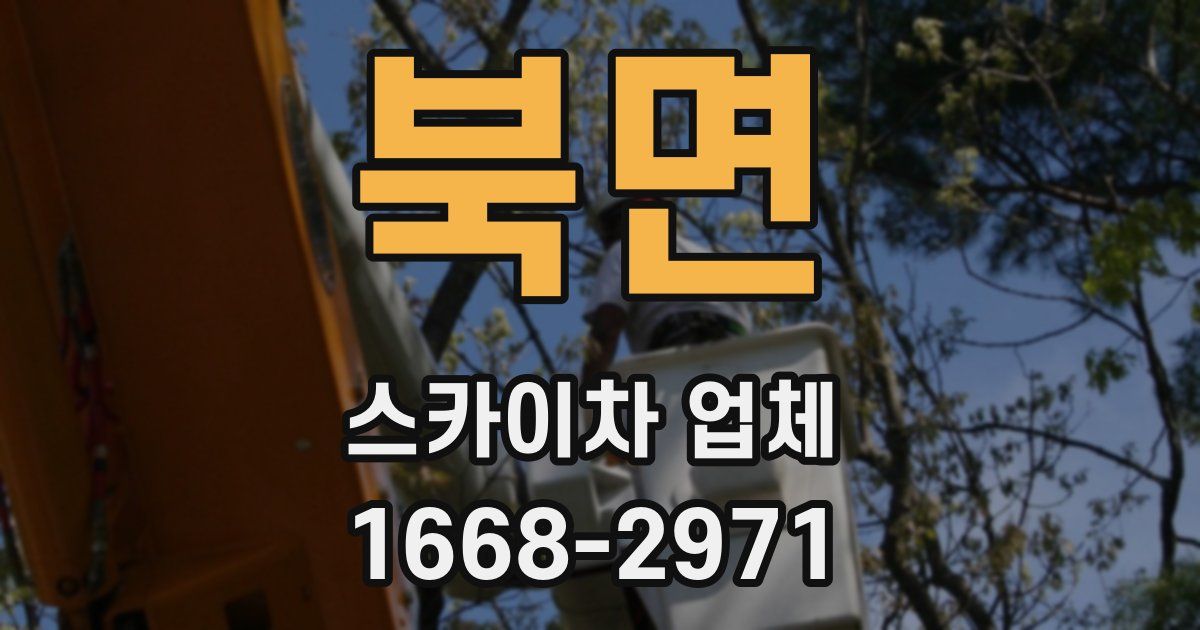 북면 스카이차 업체