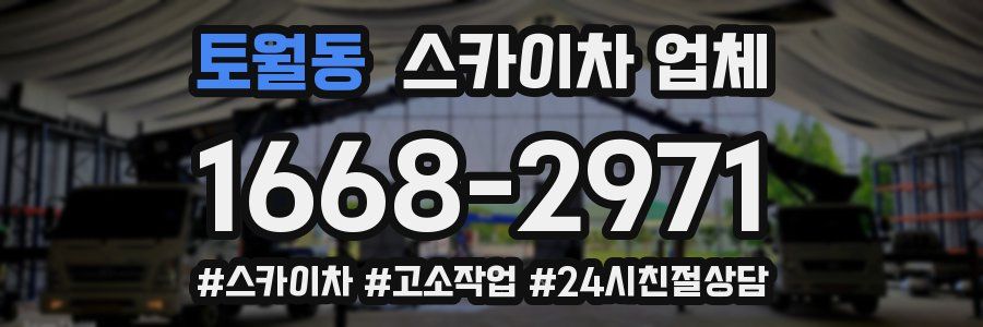 토월동 스카이차 업체