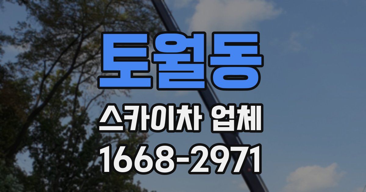 토월동 스카이차 업체