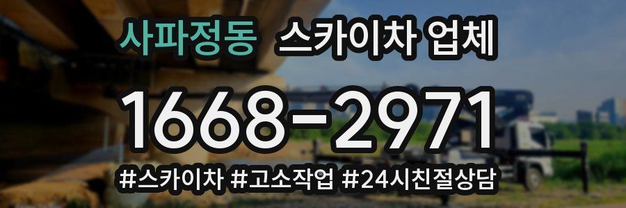 사파정동 스카이차 업체