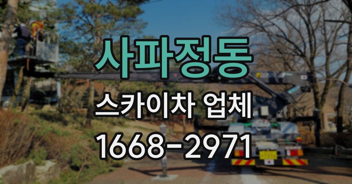 사파정동 스카이차 업체